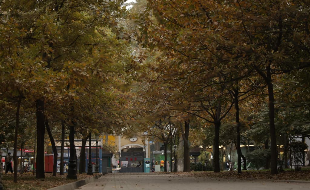 Toshkent shahar hokimligi ogohlantirish bilan chiqdi