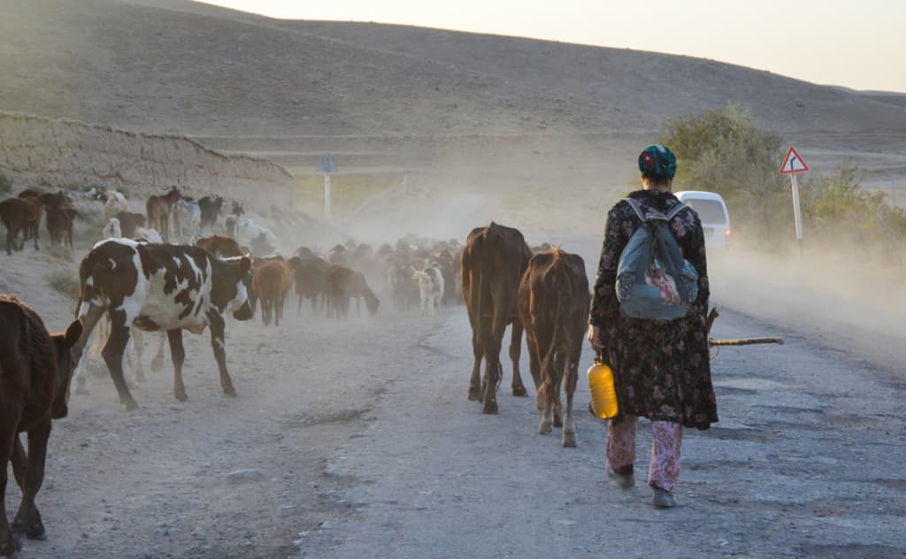 «Cho‘pon qizning bir kuni» — Javhar Chorshanbiyevadan fotoesse