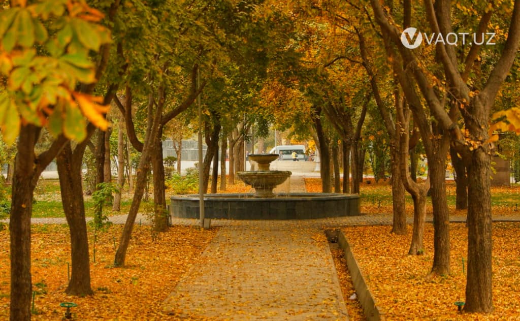 Hafta ichida O‘zbekistonda havo keskin sovushi kutilmoqda