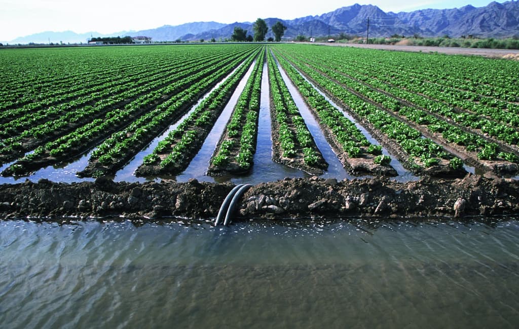 O‘zbekiston irrigatsiya loyihasiga Jahon bankidan $200 mln kredit oladi