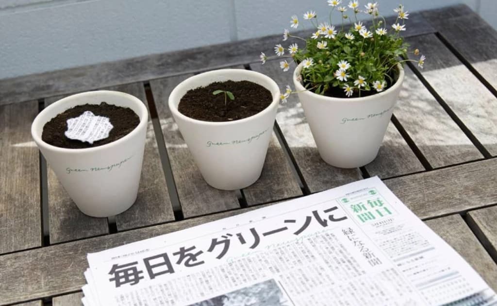 Yaponlardan o‘qiladigan va ekiladigan «yashil gazeta»