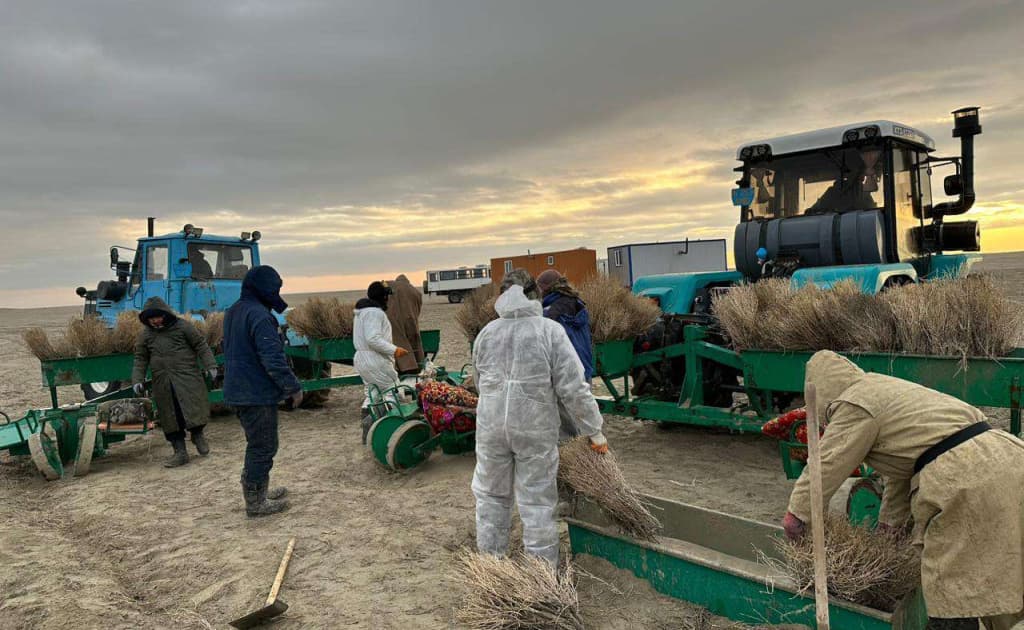 Orol dengizi tubini ko‘kalamzorlashtirishda qo‘shnilar hamkorlik qiladi