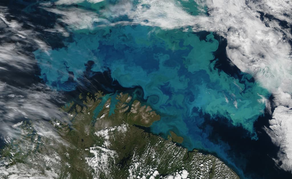 Okean suvlarining qorayishi kuzatilmoqda: olimlar xavotirda