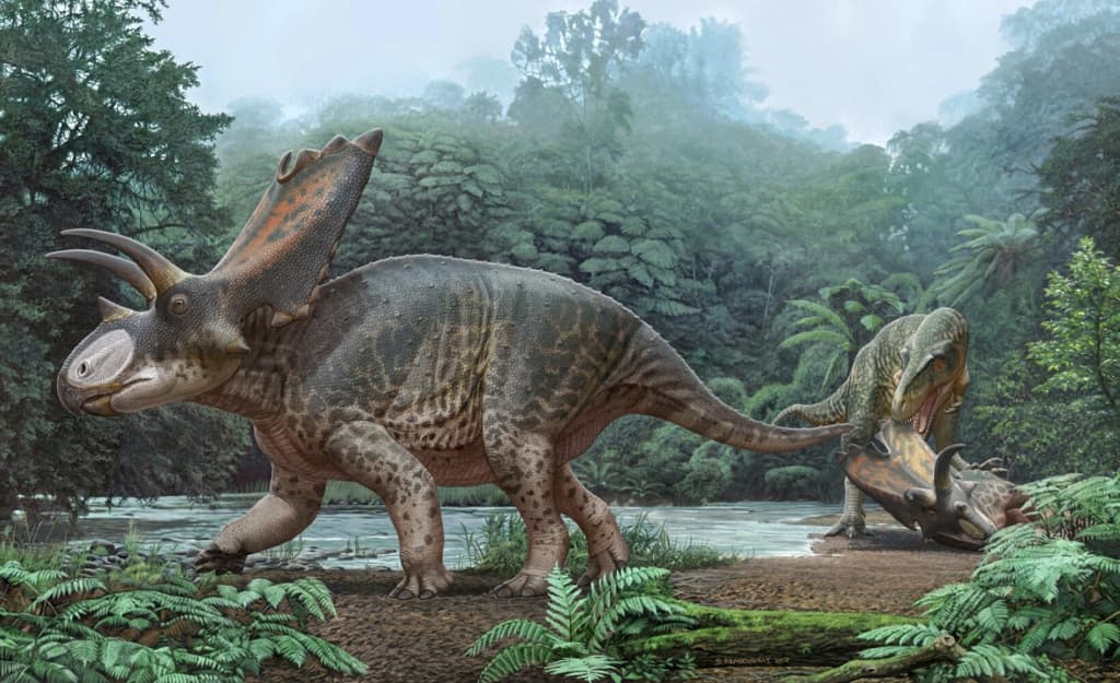 80 million yil oldin yashagan dinozavrning yangi turi aniqlandi