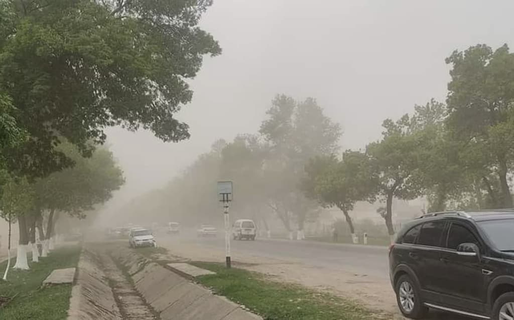 19 iyun kuni kuchli shamol va chang-to‘zon kuzatilishi mumkin