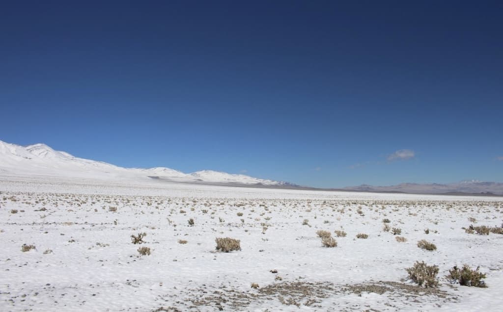 Atakama cho‘lida 10 yil ichida birinchi marta qor yog‘di