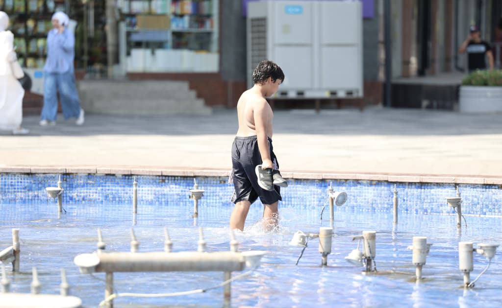 Jaziramada qanday jon saqlash mumkin? SSV javob berdi