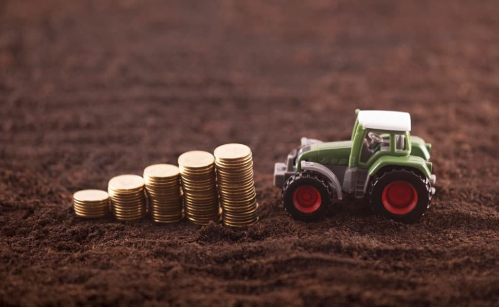 «Fermerlarning 99 foizida QQS yo‘q» — soliq muammosi ochiq muloqotda ko‘tarildi