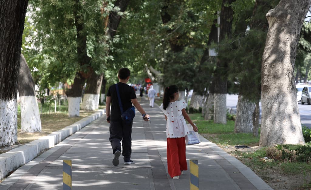 Toshkentda har bir tumanda maxsus ko‘chatxonalar tashkil etiladi