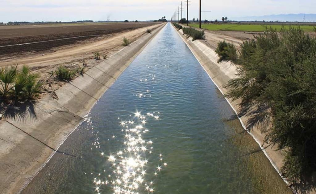 Andijondagi fabrika kanalni zaharli suvlar bilan ifloslantirdi