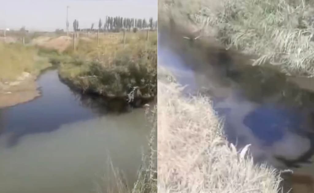Andijonda kanalga neft oqib ketdi
