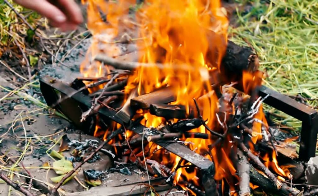 Ko‘chada yoqilgan shox-shabbadan tortib, uyda saqlangan hayvonlargacha — ekologik zararlar uchun yangi jarimalar belgilandi