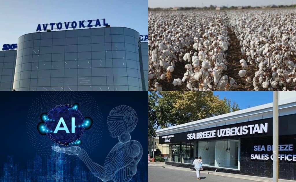Aliyevning sobiq kuyoviga imtiyoz, sun’iy intellekt bergan 2,9 mlrd so‘m va Toshkentga kelayotgan prezidentlar — 4 avgust dayjesti