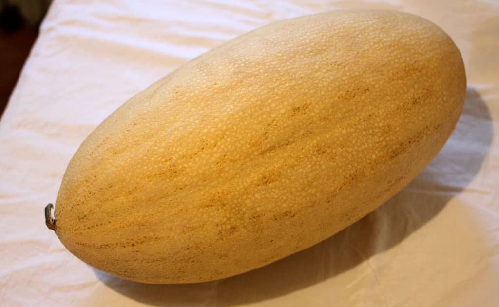 O‘zbekistonda «Torpeda» qovuni eksport mavsumida rekord darajada qimmatlashdi