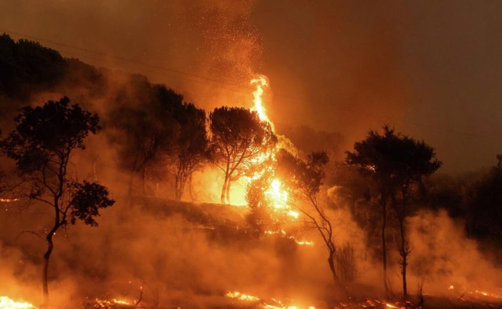 Turkiyada yong‘in to‘xtamayapti: Chanoqqal’a bo‘g‘ozi yopildi