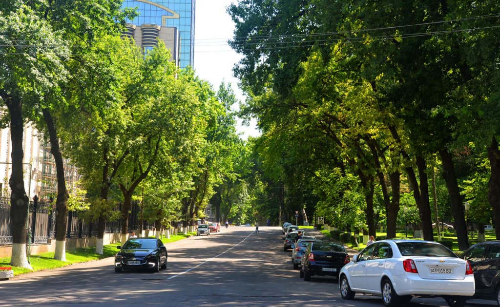 O‘zbekistonda hafta davomida salqin va quyoshli ob-havo kuzatiladi