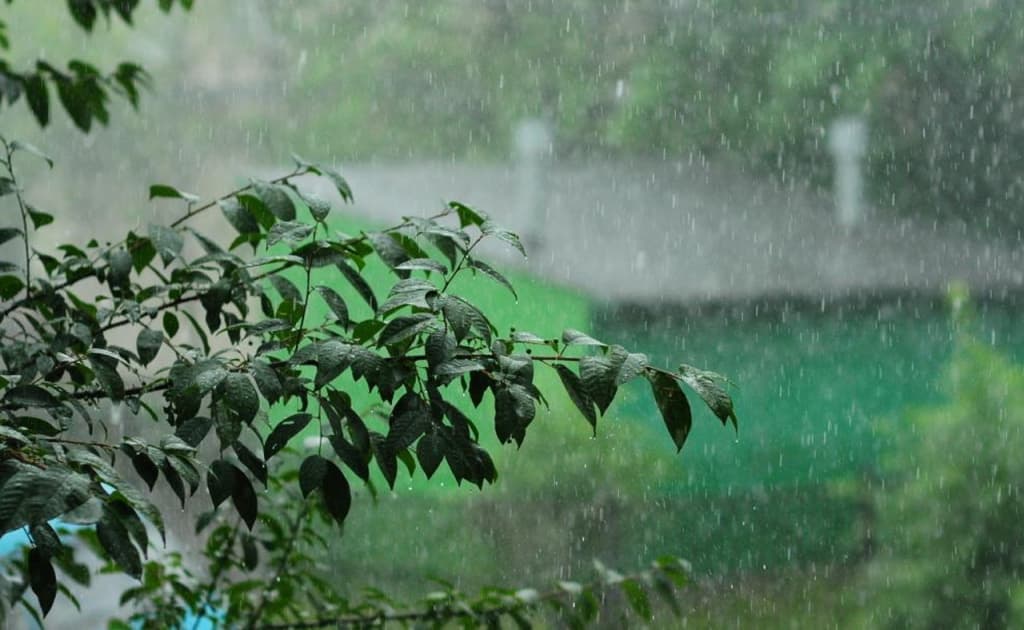 18 avgust kuni ayrim hududlarda yomg‘ir yog‘ishi kutilmoqda