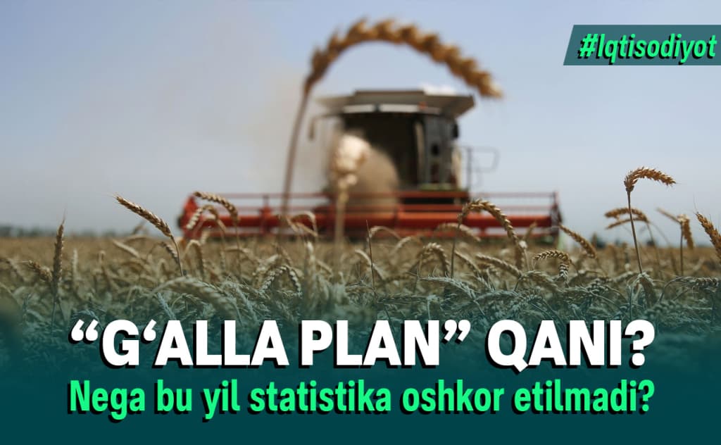 O‘zbekiston g‘allasi: noma’lum statistika, narxlar oshishi va jahon bozoridagi xavf
