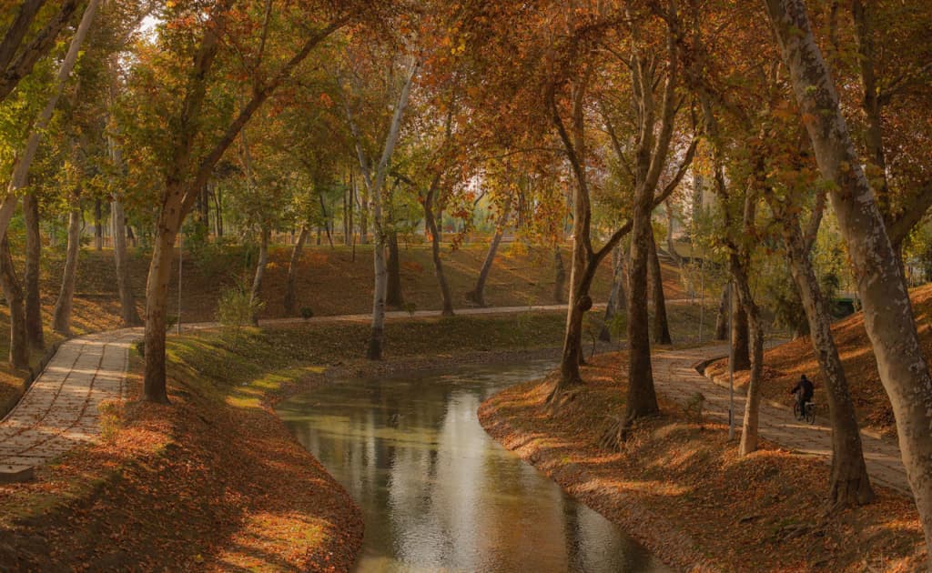 Kuzning ilk oyi qanday ob-havoda o‘tadi?