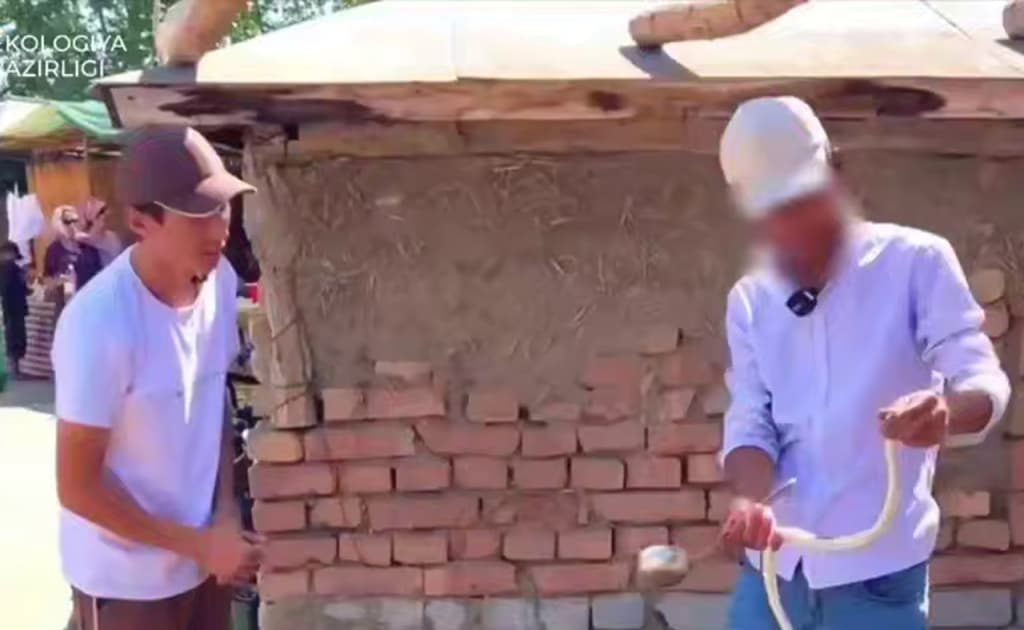 Ilon va tipratikandan sho‘rva tayyorlab sotilayotgani aniqlandi