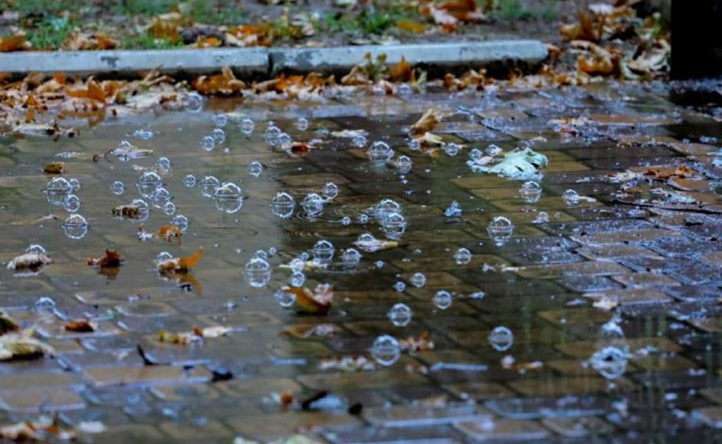 O‘zbekistonning ayrim hududlarida qisqa muddatli yomg‘ir kutilmoqda