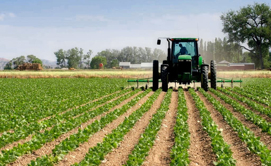 2027 yilgacha qishloq xo‘jaligidagi barcha yerlar ijaraga o‘tadi — Prezident qarori