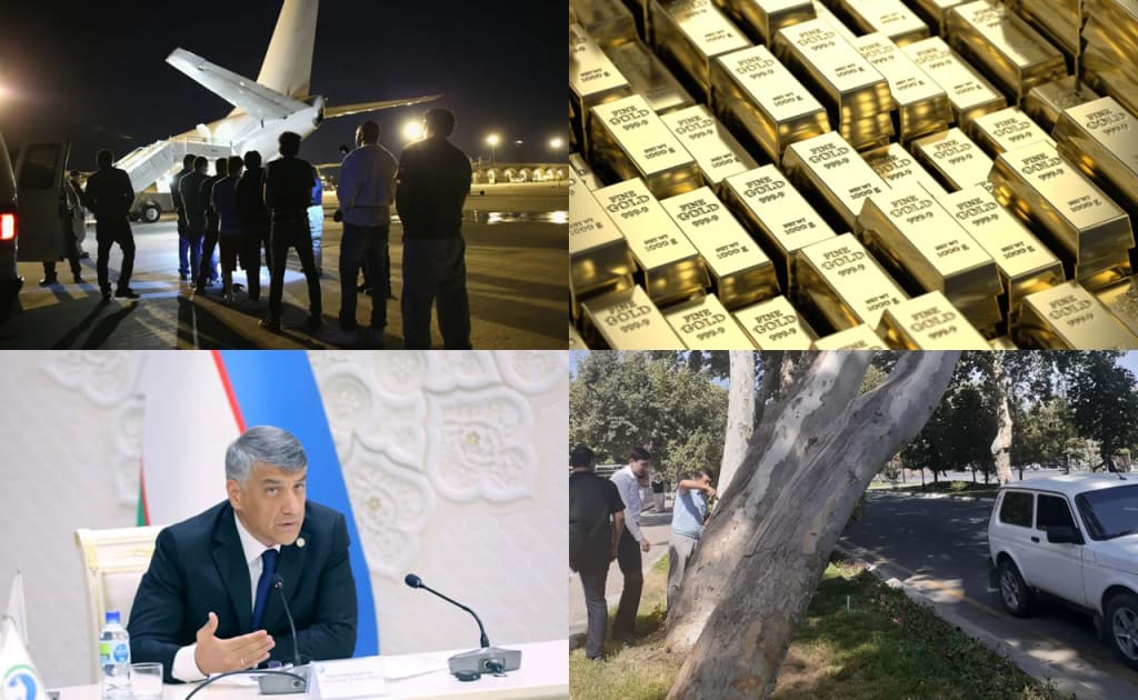 AQSHdan quvilgan o‘zbeklar, Alisher Qodirovning keskin tanqidi va Samarqandda kesilgan chinorlar — 8 sentyabr dayjesti