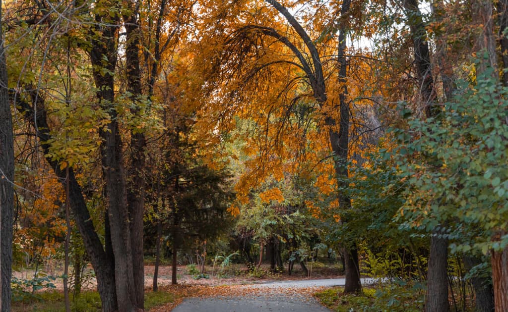 O‘zbekistonda dam olish kunlari harorat pasaya boshlaydi