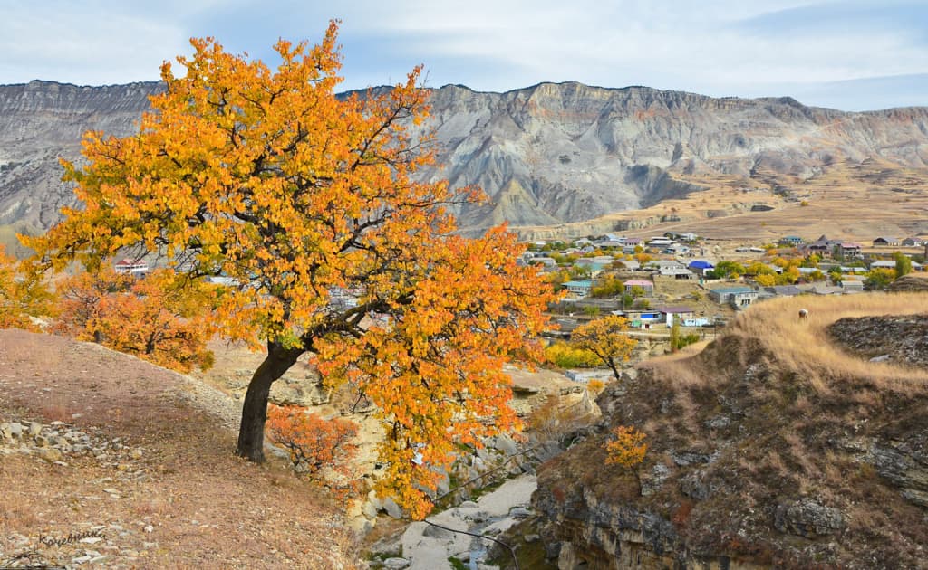 O‘zbekistonda hafta davomida harorat +20 darajagacha pasayadi