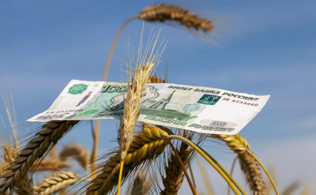 Rossiya bug‘doy eksporti uchun bojni keskin oshirdi