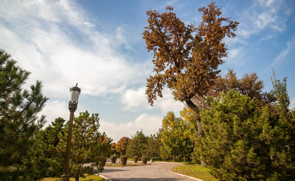 Dam olish kunlarida O‘zbekiston bo‘ylab issiq va quruq ob-havo bo‘lishi kutilmoqda