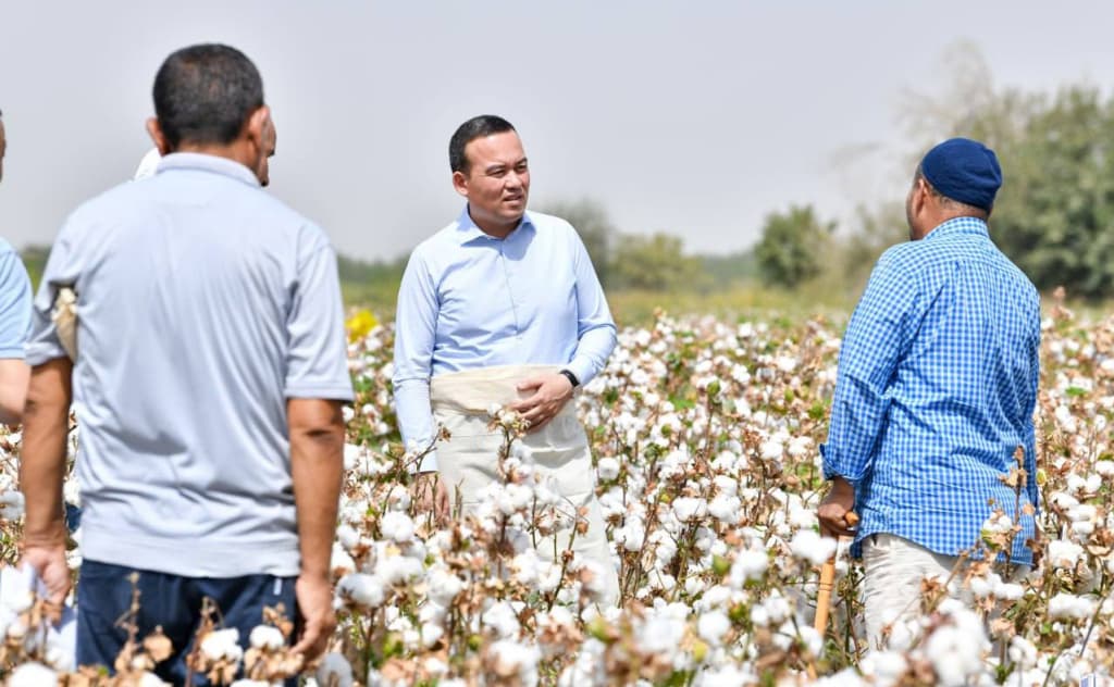 Surxondaryo paxtakorlari mamlakatda birinchi bo‘lib rejani bajardi