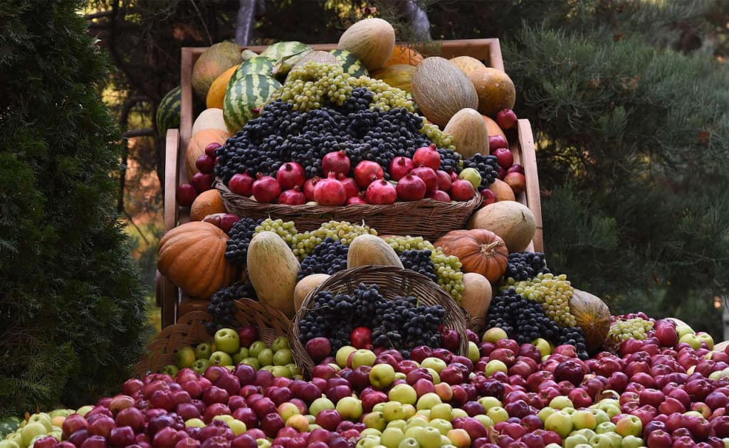 O‘zbekistonda meva-sabzavot eksporti uchun minimal narxlar bekor qilindi