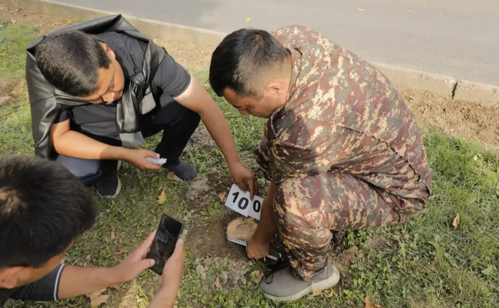 Toshkentda daraxtlar kesilishi ortidan yetkazilgan zarar 1,4 mlrd so‘mdan oshdi