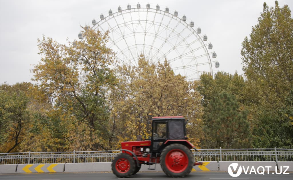 O‘zbekistonliklar noyabr oyini qanday ob-havoda o‘tkazadi?
