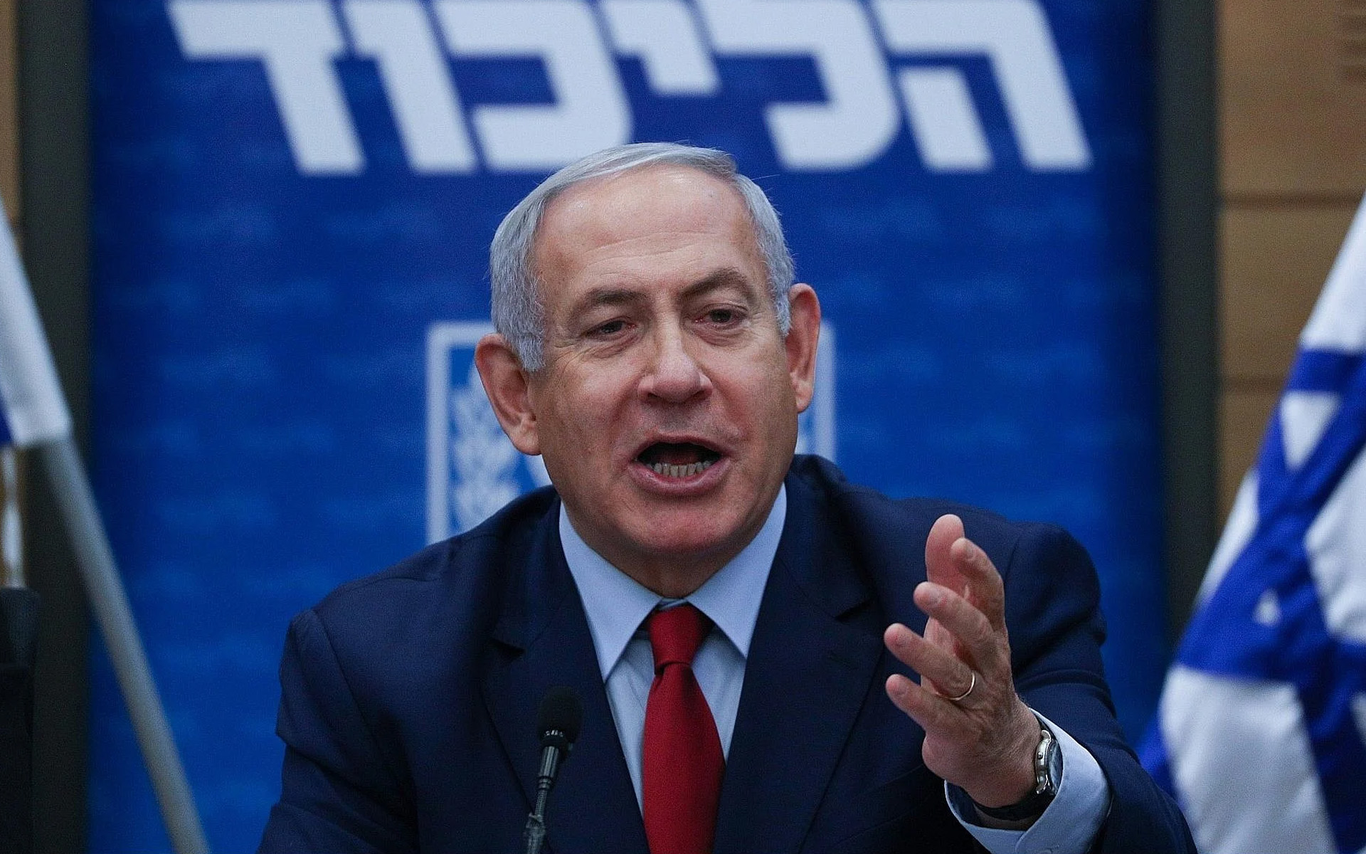 Bibi2
