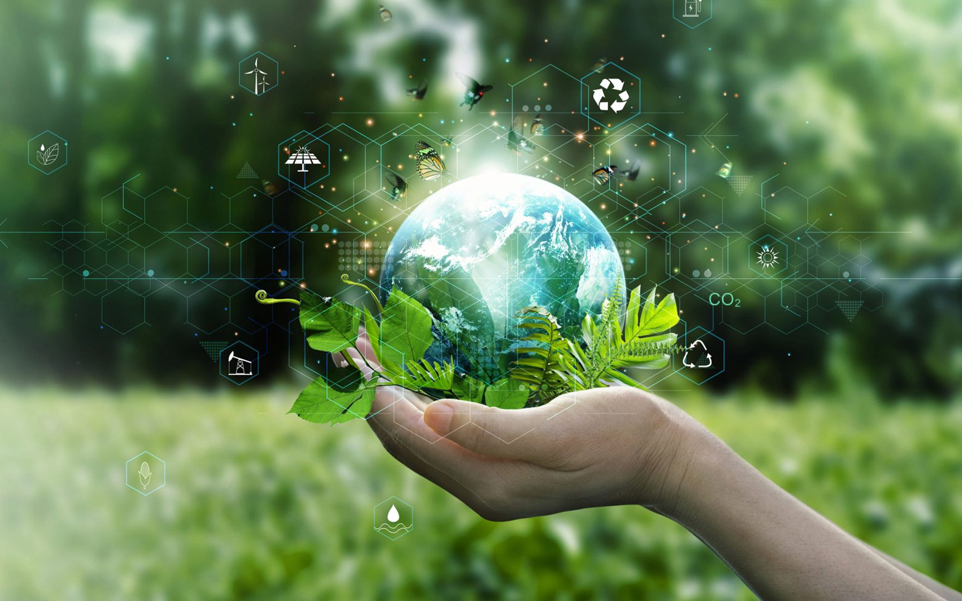 Eco nadzor