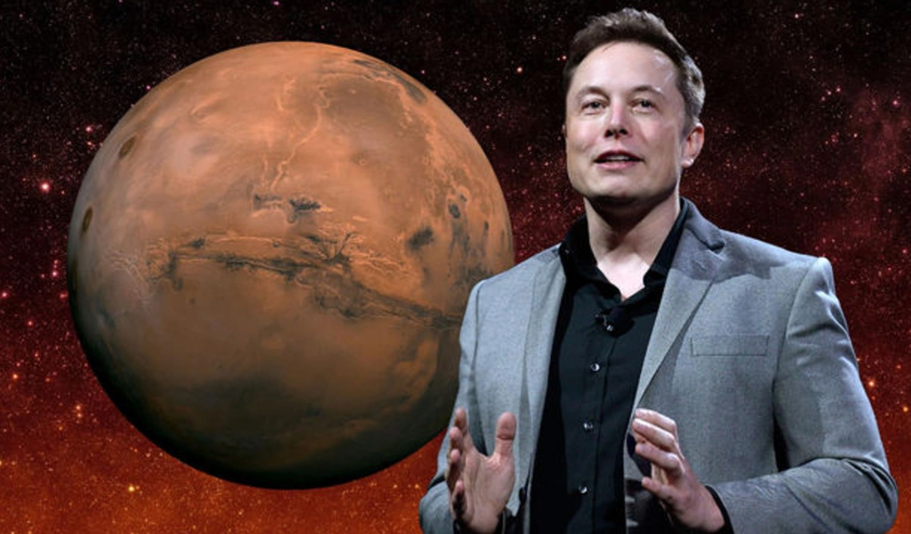 Elon musk