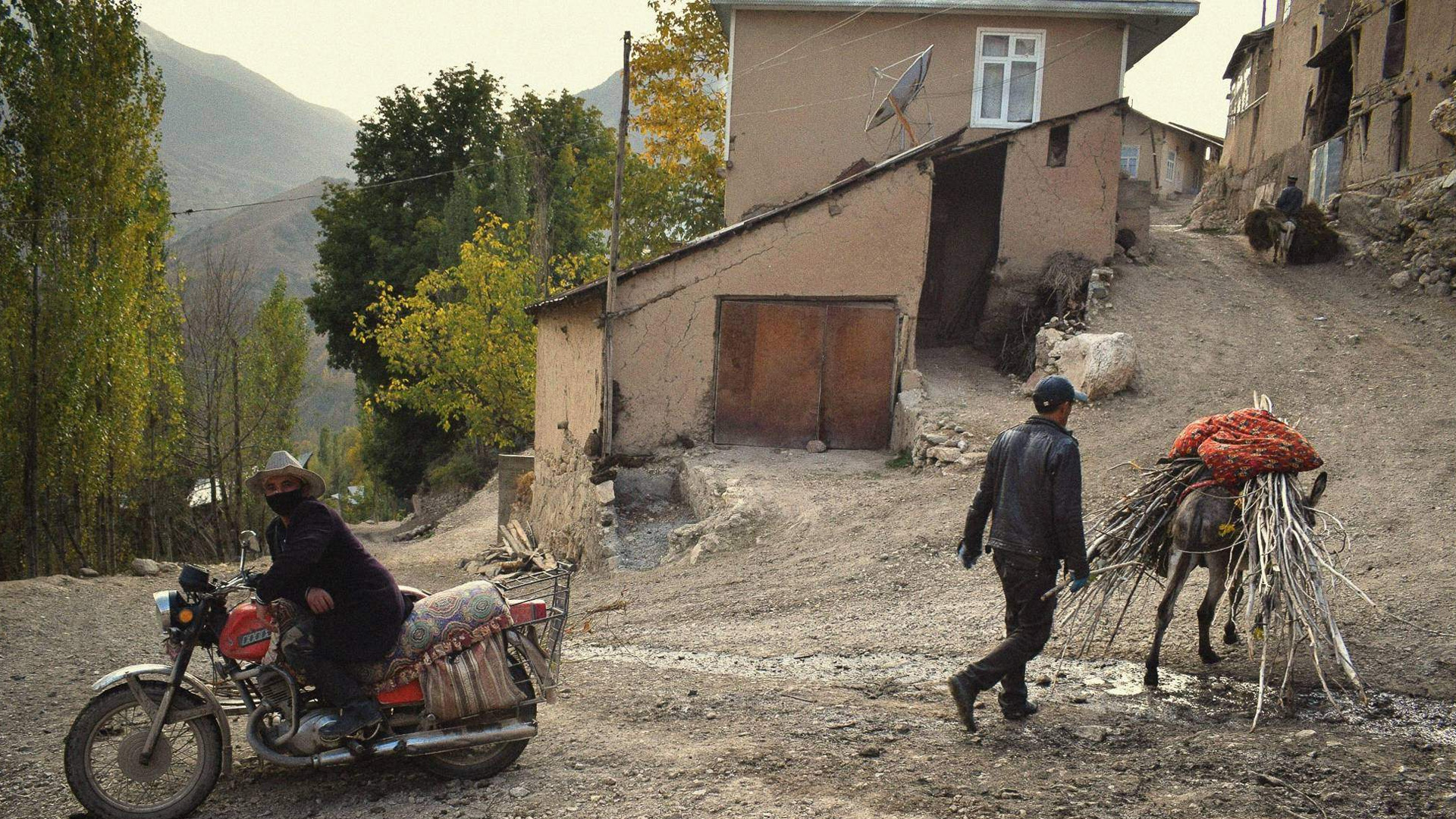 Hayot sifati