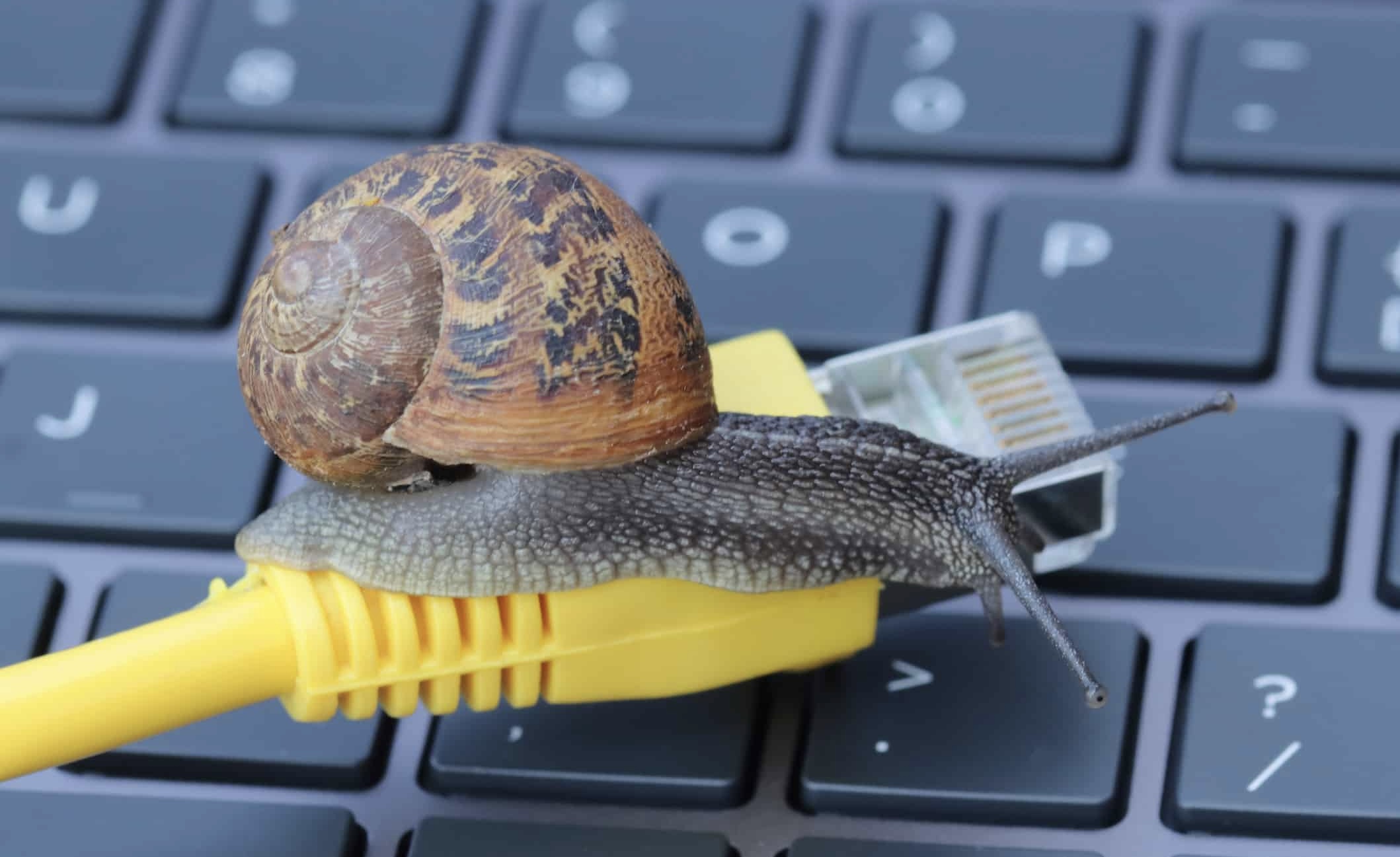 Internet tezligi