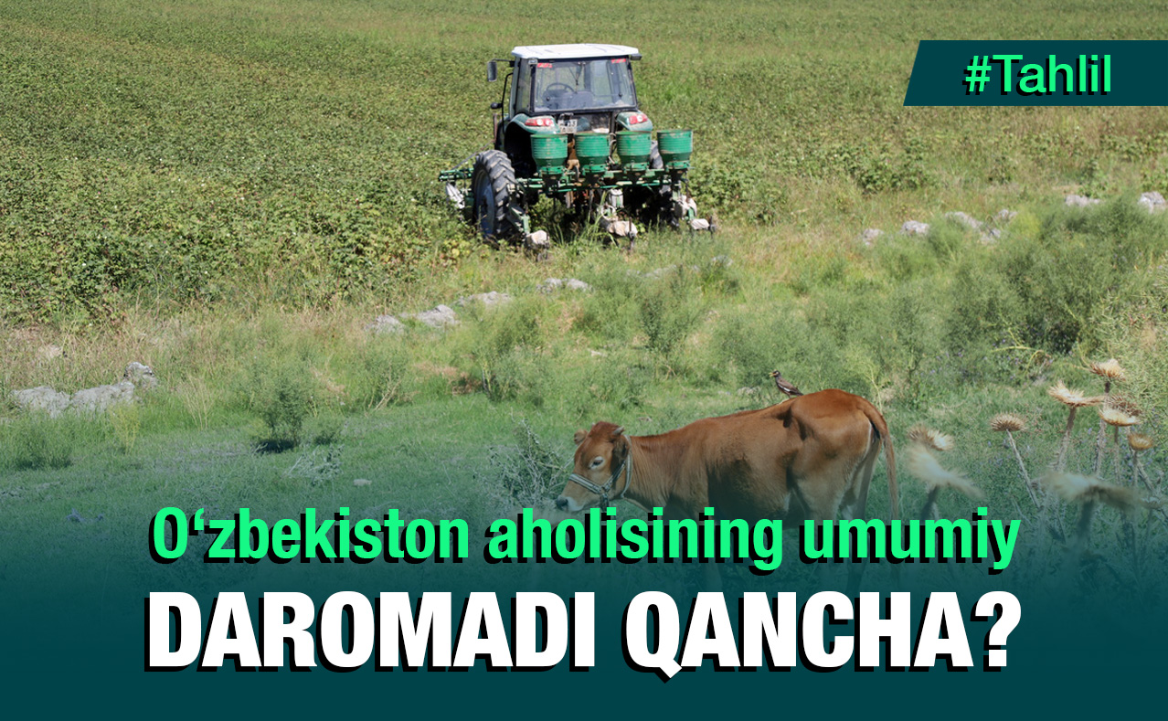 Daromad uz