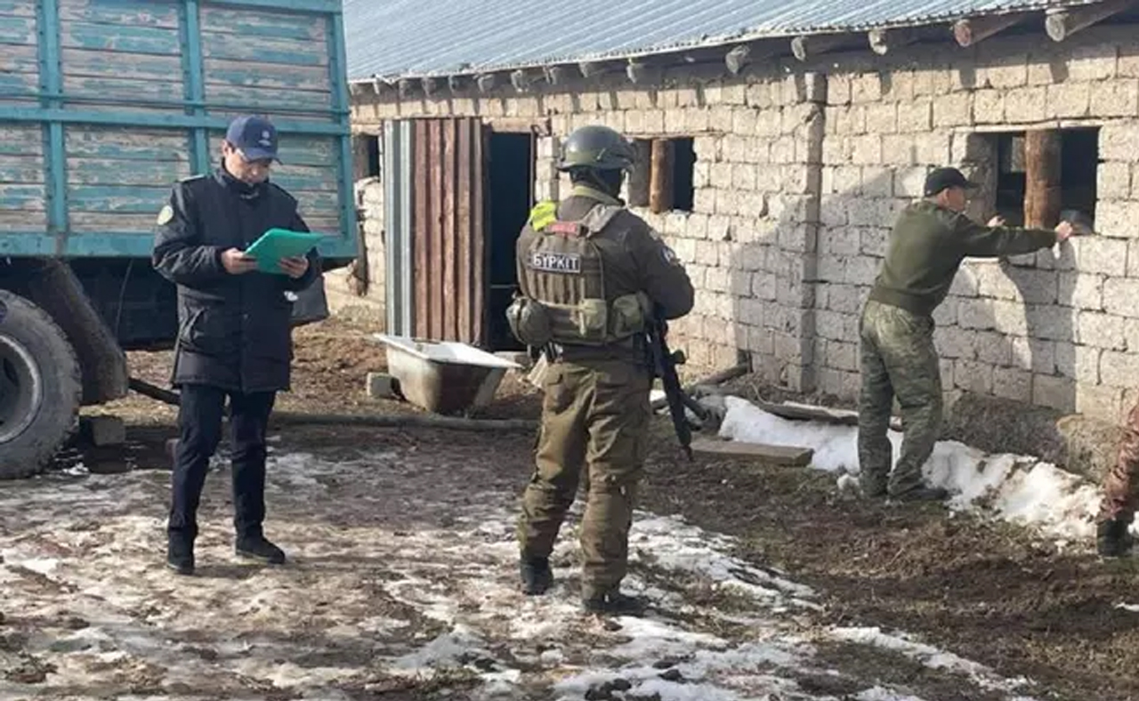 пфы