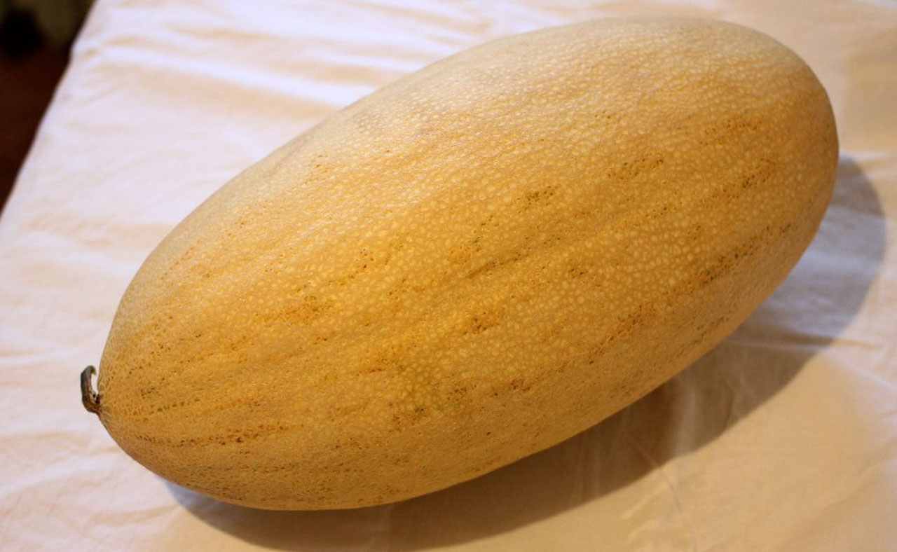 Qovun
